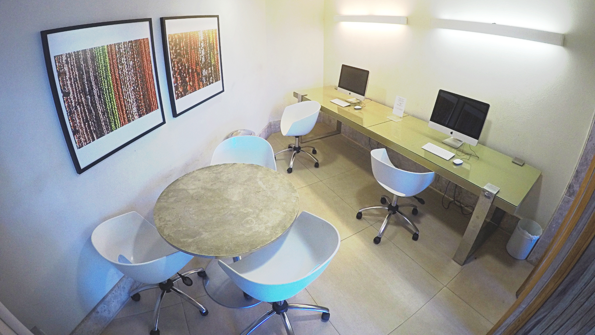 DCIM101GOPROGOPR2516.