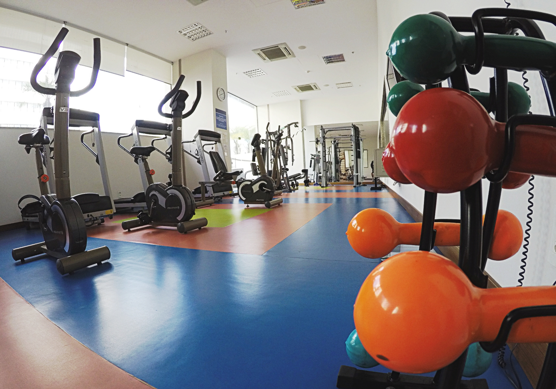 DCIM101GOPROGOPR2436.