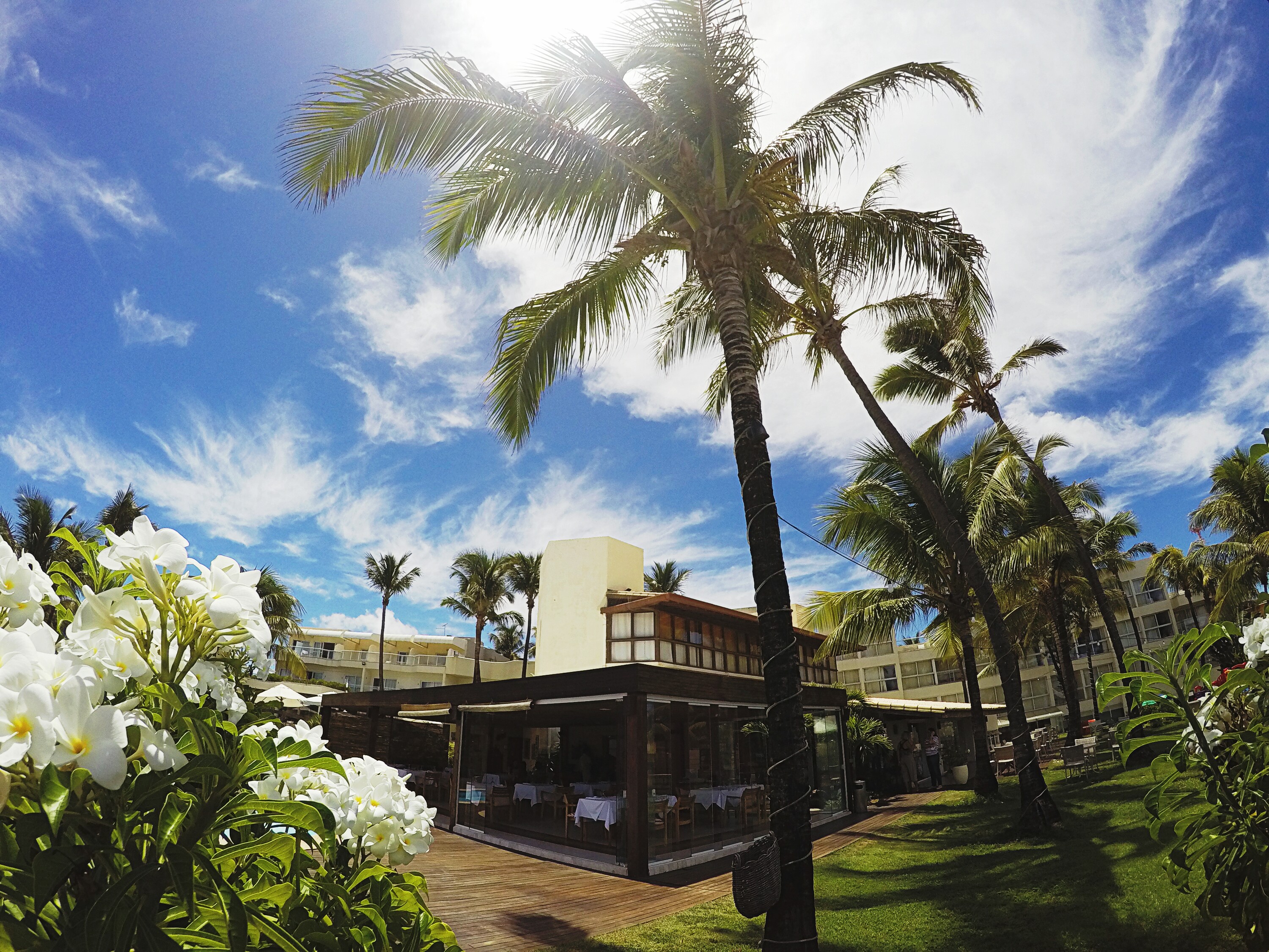 DCIM101GOPROGOPR2597.